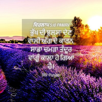 Picture 04 - ਵਿਰਲਾਪ 5:10 PANIRV - ਭੁੱਖ ਦੀ ਝੁਲਸਾ ਦੇਣ - Bible Verse Picture