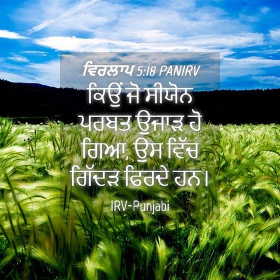 Picture 04 - ਵਿਰਲਾਪ 5:18 PANIRV - ਕਿਉਂ ਜੋ ਸੀਯੋਨ ਪਰਬਤ - Bible Verse Picture