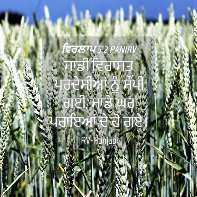 Picture 04 - ਵਿਰਲਾਪ 5:2 PANIRV - ਸਾਡੀ ਵਿਰਾਸਤ - Bible Verse Picture
