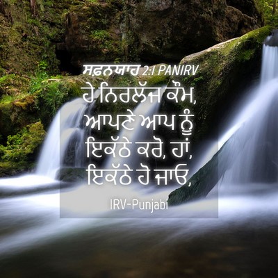 Picture 04 - ਸਫ਼ਨਯਾਹ 2:1 PANIRV - ਹੇ ਨਿਰਲੱਜ ਕੌਮ, ਆਪਣੇ - Bible Verse Picture