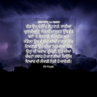 Picture 04 - ਸਫ਼ਨਯਾਹ 2:14 PANIRV - ਵੱਗ ਉਸ ਦੇ ਵਿੱਚ - Bible Verse Picture