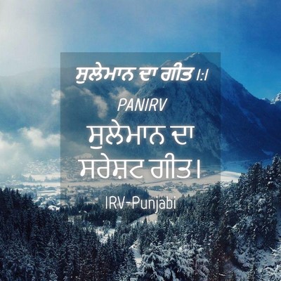 Picture 04 - ਸੁਲੇਮਾਨ ਦਾ ਗੀਤ 1:1 PANIRV - ਸੁਲੇਮਾਨ ਦਾ ਸਰੇਸ਼ਟ - Bible Verse Picture