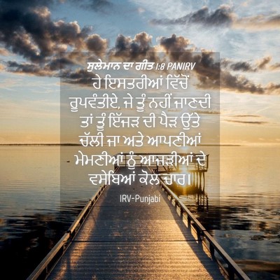 Picture 04 - ਸੁਲੇਮਾਨ ਦਾ ਗੀਤ 1:8 PANIRV - ਹੇ ਇਸਤਰੀਆਂ ਵਿੱਚੋਂ - Bible Verse Picture