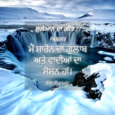 Picture 04 - ਸੁਲੇਮਾਨ ਦਾ ਗੀਤ 2:1 PANIRV - ਮੈਂ ਸ਼ਾਰੋਨ ਦਾ - Bible Verse Picture