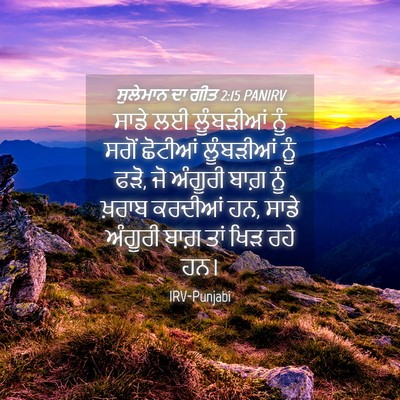 Picture 04 - ਸੁਲੇਮਾਨ ਦਾ ਗੀਤ 2:15 PANIRV - ਸਾਡੇ ਲਈ ਲੂੰਬੜੀਆਂ - Bible Verse Picture