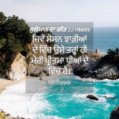 Picture 04 - ਸੁਲੇਮਾਨ ਦਾ ਗੀਤ 2:2 PANIRV - ਜਿਵੇਂ ਸੋਸਨ ਝਾੜੀਆਂ - Bible Verse Picture