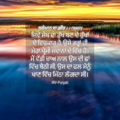 Picture 04 - ਸੁਲੇਮਾਨ ਦਾ ਗੀਤ 2:3 PANIRV - ਜਿਵੇਂ ਸੇਬ ਦਾ ਰੁੱਖ - Bible Verse Picture