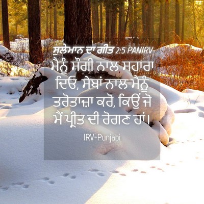 Picture 04 - ਸੁਲੇਮਾਨ ਦਾ ਗੀਤ 2:5 PANIRV - ਮੈਨੂੰ ਸੌਗੀ ਨਾਲ - Bible Verse Picture