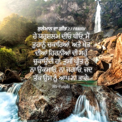 Picture 04 - ਸੁਲੇਮਾਨ ਦਾ ਗੀਤ 2:7 PANIRV - ਹੇ ਯਰੂਸ਼ਲਮ ਦੀਓ ਧੀਓ, - Bible Verse Picture