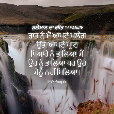 Picture 04 - ਸੁਲੇਮਾਨ ਦਾ ਗੀਤ 3:1 PANIRV - ਰਾਤ ਨੂੰ ਮੈਂ ਆਪਣੇ - Bible Verse Picture
