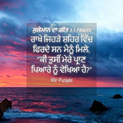 Picture 04 - ਸੁਲੇਮਾਨ ਦਾ ਗੀਤ 3:3 PANIRV - ਰਾਖੇ ਜਿਹੜੇ ਸ਼ਹਿਰ - Bible Verse Picture