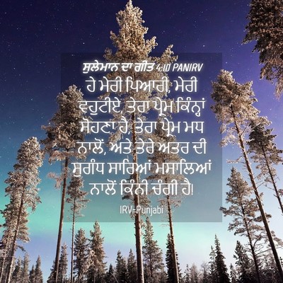 Picture 04 - ਸੁਲੇਮਾਨ ਦਾ ਗੀਤ 4:10 PANIRV - ਹੇ ਮੇਰੀ ਪਿਆਰੀ, ਮੇਰੀ - Bible Verse Picture