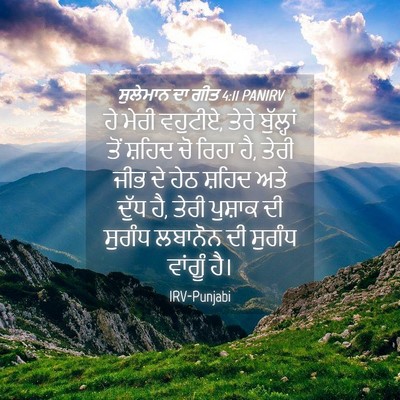 Picture 04 - ਸੁਲੇਮਾਨ ਦਾ ਗੀਤ 4:11 PANIRV - ਹੇ ਮੇਰੀ ਵਹੁਟੀਏ, - Bible Verse Picture