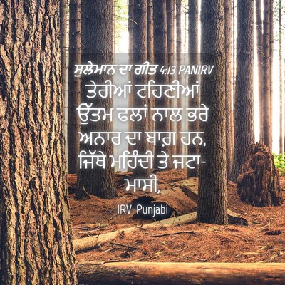 Picture 04 - ਸੁਲੇਮਾਨ ਦਾ ਗੀਤ 4:13 PANIRV - ਤੇਰੀਆਂ ਟਹਿਣੀਆਂ - Bible Verse Picture