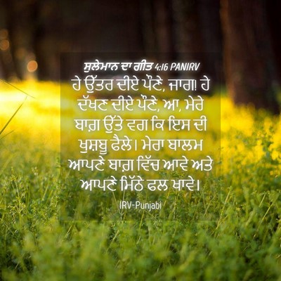 Picture 04 - ਸੁਲੇਮਾਨ ਦਾ ਗੀਤ 4:16 PANIRV - ਹੇ ਉੱਤਰ ਦੀਏ ਪੌਣੇ, - Bible Verse Picture