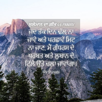 Picture 04 - ਸੁਲੇਮਾਨ ਦਾ ਗੀਤ 4:6 PANIRV - ਜਦ ਤੱਕ ਦਿਨ ਢੱਲ਼ ਨਾ - Bible Verse Picture