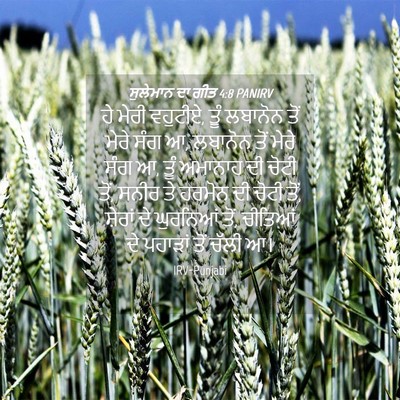 Picture 04 - ਸੁਲੇਮਾਨ ਦਾ ਗੀਤ 4:8 PANIRV - ਹੇ ਮੇਰੀ ਵਹੁਟੀਏ, ਤੂੰ - Bible Verse Picture