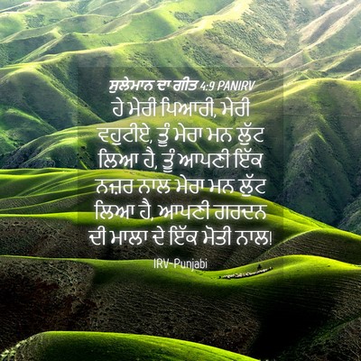 Picture 04 - ਸੁਲੇਮਾਨ ਦਾ ਗੀਤ 4:9 PANIRV - ਹੇ ਮੇਰੀ ਪਿਆਰੀ, ਮੇਰੀ - Bible Verse Picture