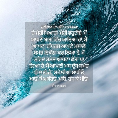 Picture 04 - ਸੁਲੇਮਾਨ ਦਾ ਗੀਤ 5:1 PANIRV - ਹੇ ਮੇਰੀ ਪਿਆਰੀ, ਮੇਰੀ - Bible Verse Picture