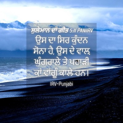 Picture 04 - ਸੁਲੇਮਾਨ ਦਾ ਗੀਤ 5:11 PANIRV - ਉਸ ਦਾ ਸਿਰ ਕੁੰਦਨ - Bible Verse Picture