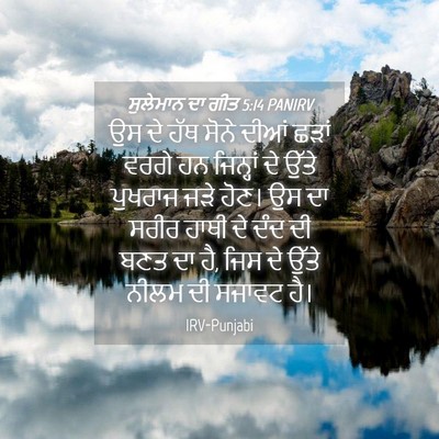 Picture 04 - ਸੁਲੇਮਾਨ ਦਾ ਗੀਤ 5:14 PANIRV - ਉਸ ਦੇ ਹੱਥ ਸੋਨੇ ਦੀਆਂ - Bible Verse Picture