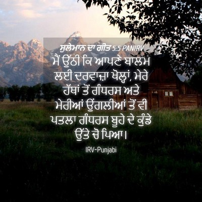 Picture 04 - ਸੁਲੇਮਾਨ ਦਾ ਗੀਤ 5:5 PANIRV - ਮੈਂ ਉੱਠੀ ਕਿ ਆਪਣੇ - Bible Verse Picture