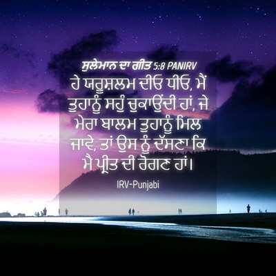 Picture 04 - ਸੁਲੇਮਾਨ ਦਾ ਗੀਤ 5:8 PANIRV - ਹੇ ਯਰੂਸ਼ਲਮ ਦੀਓ ਧੀਓ, - Bible Verse Picture
