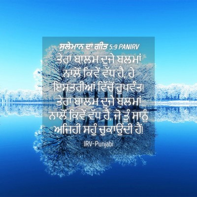 Picture 04 - ਸੁਲੇਮਾਨ ਦਾ ਗੀਤ 5:9 PANIRV - ਤੇਰਾ ਬਾਲਮ ਦੂਜੇ - Bible Verse Picture