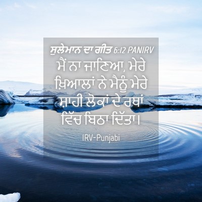 Picture 04 - ਸੁਲੇਮਾਨ ਦਾ ਗੀਤ 6:12 PANIRV - ਮੈਂ ਨਾ ਜਾਣਿਆ, ਮੇਰੇ - Bible Verse Picture