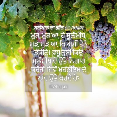Picture 04 - ਸੁਲੇਮਾਨ ਦਾ ਗੀਤ 6:13 PANIRV - ਮੁੜ, ਮੁੜ ਆ, ਹੇ - Bible Verse Picture