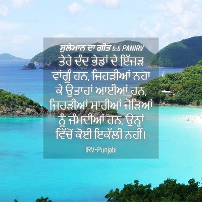 Picture 04 - ਸੁਲੇਮਾਨ ਦਾ ਗੀਤ 6:6 PANIRV - ਤੇਰੇ ਦੰਦ ਭੇਡਾਂ ਦੇ - Bible Verse Picture