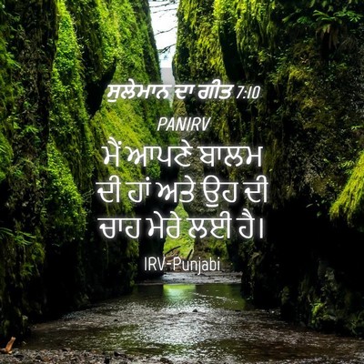 Picture 04 - ਸੁਲੇਮਾਨ ਦਾ ਗੀਤ 7:10 PANIRV - ਮੈਂ ਆਪਣੇ ਬਾਲਮ ਦੀ - Bible Verse Picture