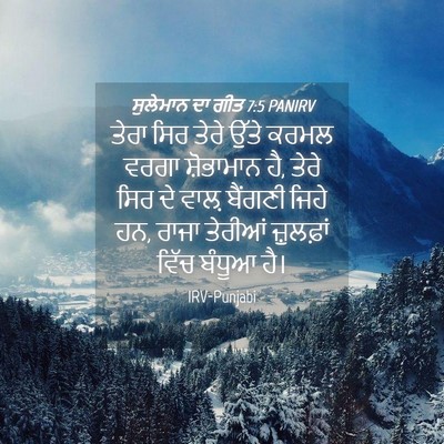 Picture 04 - ਸੁਲੇਮਾਨ ਦਾ ਗੀਤ 7:5 PANIRV - ਤੇਰਾ ਸਿਰ ਤੇਰੇ ਉੱਤੇ - Bible Verse Picture