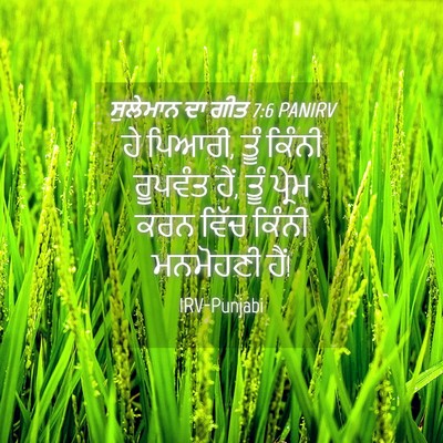 Picture 04 - ਸੁਲੇਮਾਨ ਦਾ ਗੀਤ 7:6 PANIRV - ਹੇ ਪਿਆਰੀ, ਤੂੰ ਕਿੰਨੀ - Bible Verse Picture