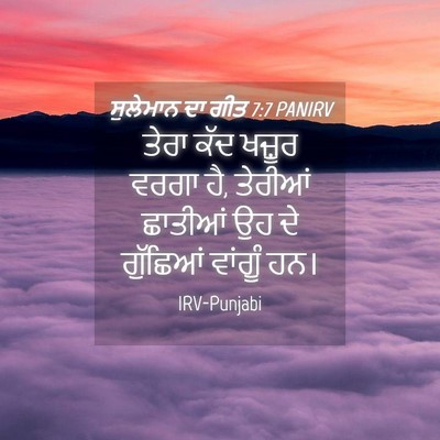 Picture 04 - ਸੁਲੇਮਾਨ ਦਾ ਗੀਤ 7:7 PANIRV - ਤੇਰਾ ਕੱਦ ਖਜ਼ੂਰ - Bible Verse Picture