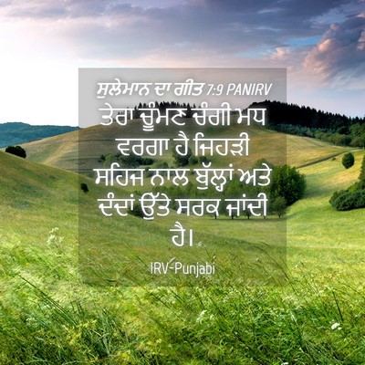 Picture 04 - ਸੁਲੇਮਾਨ ਦਾ ਗੀਤ 7:9 PANIRV - ਤੇਰਾ ਚੂੰਮਣ ਚੰਗੀ ਮਧ - Bible Verse Picture