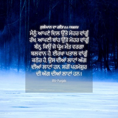Picture 04 - ਸੁਲੇਮਾਨ ਦਾ ਗੀਤ 8:6 PANIRV - ਮੈਨੂੰ ਆਪਣੇ ਦਿਲ - Bible Verse Picture