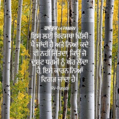 Picture 04 - ਹਬੱਕੂਕ 1:4 PANIRV - ਇਸ ਲਈ ਬਿਵਸਥਾ ਢਿੱਲੀ - Bible Verse Picture