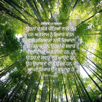 Picture 04 - ਹਬੱਕੂਕ 1:8 PANIRV - ਉਹਨਾਂ ਦੇ ਘੋੜੇ - Bible Verse Picture