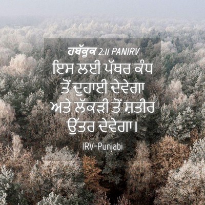 Picture 04 - ਹਬੱਕੂਕ 2:11 PANIRV - ਇਸ ਲਈ ਪੱਥਰ ਕੰਧ ਤੋਂ - Bible Verse Picture