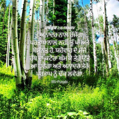 Picture 04 - ਹਬੱਕੂਕ 2:16 PANIRV - ਤੂੰ ਅਨਾਦਰ ਨਾਲ - Bible Verse Picture