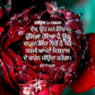 Picture 04 - ਹਬੱਕੂਕ 2:4 PANIRV - ਵੇਖ, ਉਹ ਮਨ ਵਿੱਚ - Bible Verse Picture