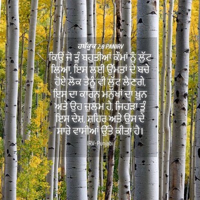 Picture 04 - ਹਬੱਕੂਕ 2:8 PANIRV - ਕਿਉਂ ਜੋ ਤੂੰ - Bible Verse Picture