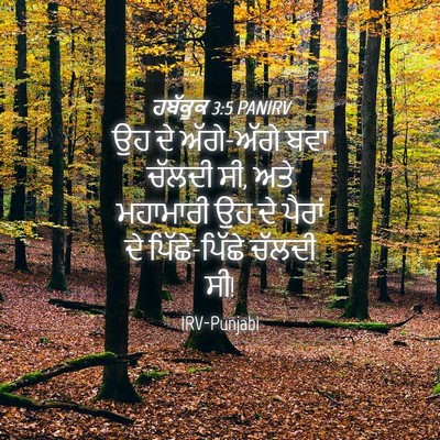 Picture 04 - ਹਬੱਕੂਕ 3:5 PANIRV - ਉਹ ਦੇ ਅੱਗੇ-ਅੱਗੇ ਬਵਾ - Bible Verse Picture