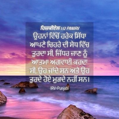 Picture 04 - ਹਿਜ਼ਕੀਏਲ 1:12 PANIRV - ਉਹਨਾਂ ਵਿੱਚੋਂ ਹਰੇਕ - Bible Verse Picture