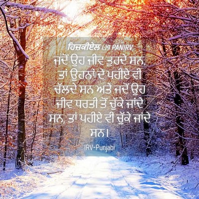 Picture 04 - ਹਿਜ਼ਕੀਏਲ 1:19 PANIRV - ਜਦੋਂ ਉਹ ਜੀਵ ਤੁਰਦੇ - Bible Verse Picture