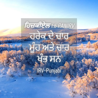 Picture 04 - ਹਿਜ਼ਕੀਏਲ 1:6 PANIRV - ਹਰੇਕ ਦੇ ਚਾਰ ਮੂੰਹ - Bible Verse Picture