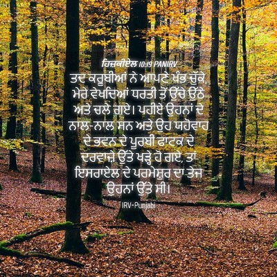 Picture 04 - ਹਿਜ਼ਕੀਏਲ 10:19 PANIRV - ਤਦ ਕਰੂਬੀਆਂ ਨੇ ਆਪਣੇ - Bible Verse Picture