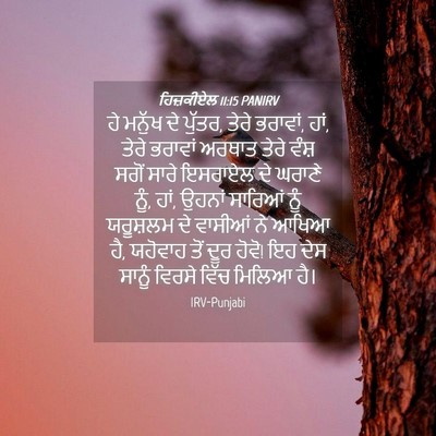 Picture 04 - ਹਿਜ਼ਕੀਏਲ 11:15 PANIRV - ਹੇ ਮਨੁੱਖ ਦੇ ਪੁੱਤਰ, - Bible Verse Picture