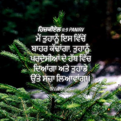 Picture 04 - ਹਿਜ਼ਕੀਏਲ 11:9 PANIRV - ਮੈਂ ਤੁਹਾਨੂੰ ਇਸ - Bible Verse Picture